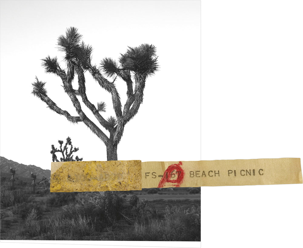 Orin Swift Eight Years in the Desert 2022 - Flask Fine Wine & Whisky